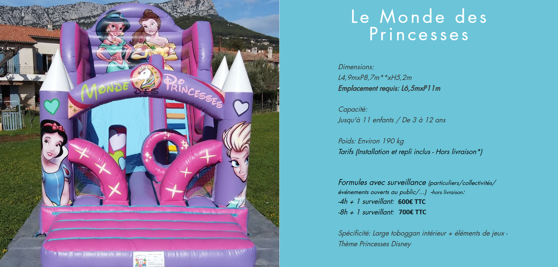 Le monde des princesses